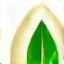Icon representing sustainability with a leaf